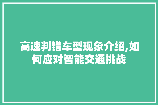 高速判错车型现象介绍,如何应对智能交通挑战 蓄电池配件