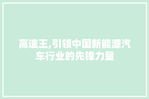 高速王,引领中国新能源汽车行业的先锋力量