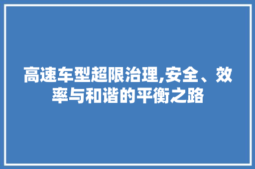 高速车型超限治理,安全、效率与和谐的平衡之路