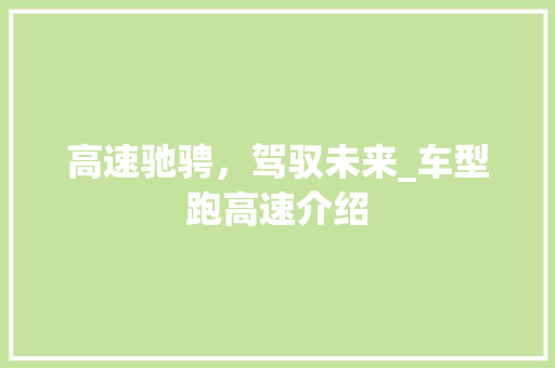 高速驰骋，驾驭未来_车型跑高速介绍