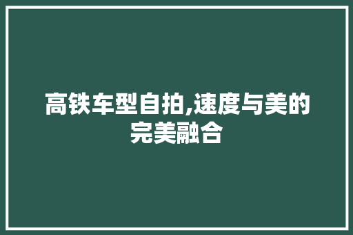 高铁车型自拍,速度与美的完美融合