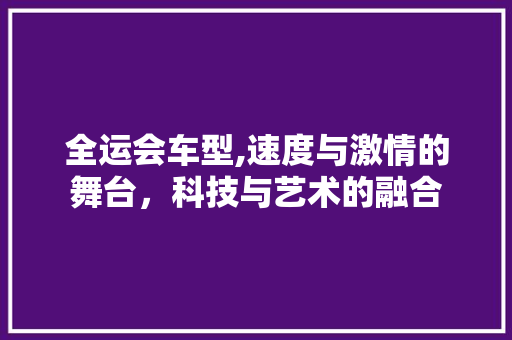 全运会车型,速度与激情的舞台，科技与艺术的融合