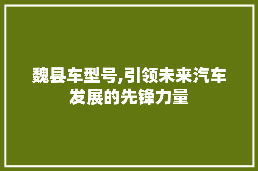 魏县车型号,引领未来汽车发展的先锋力量