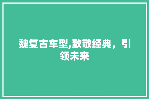 魏复古车型,致敬经典，引领未来