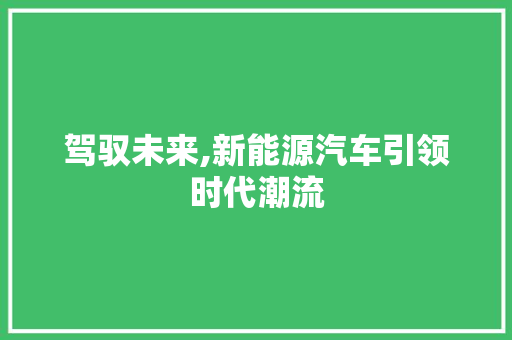 驾驭未来,新能源汽车引领时代潮流 发动机配件