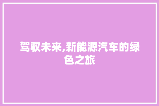 驾驭未来,新能源汽车的绿色之旅 新能源汽车