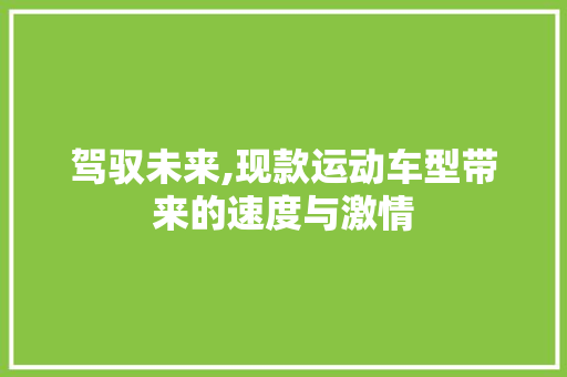 驾驭未来,现款运动车型带来的速度与激情