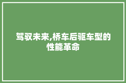 驾驭未来,桥车后驱车型的性能革命