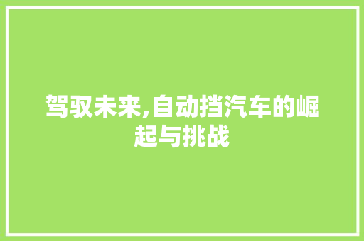驾驭未来,自动挡汽车的崛起与挑战