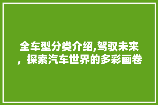 全车型分类介绍,驾驭未来，探索汽车世界的多彩画卷