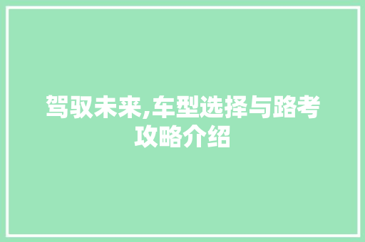 驾驭未来,车型选择与路考攻略介绍