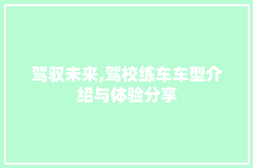 驾驭未来,驾校练车车型介绍与体验分享