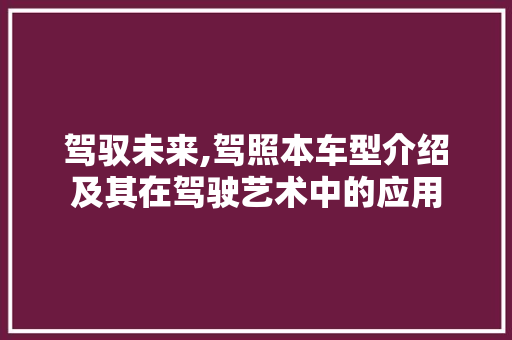驾驭未来,驾照本车型介绍及其在驾驶艺术中的应用