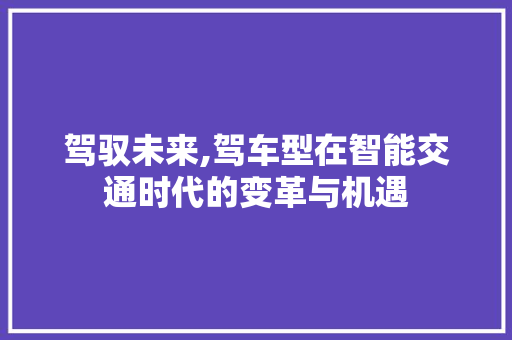 驾驭未来,驾车型在智能交通时代的变革与机遇