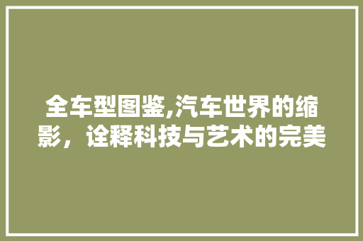 全车型图鉴,汽车世界的缩影，诠释科技与艺术的完美融合