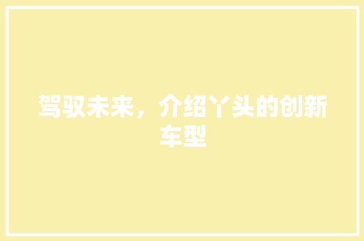 驾驭未来，介绍丫头的创新车型