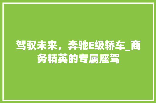 驾驭未来，奔驰E级轿车_商务精英的专属座驾