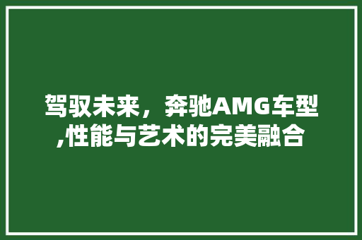 驾驭未来，奔驰AMG车型,性能与艺术的完美融合