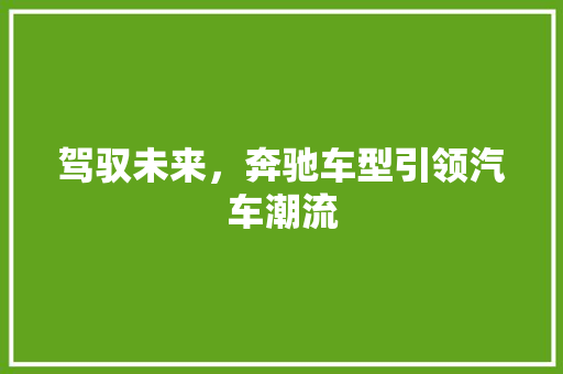 驾驭未来，奔驰车型引领汽车潮流