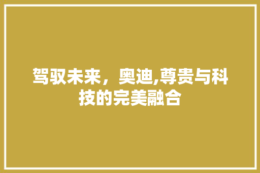 驾驭未来，奥迪,尊贵与科技的完美融合 车灯配件