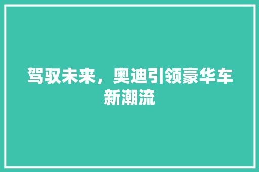 驾驭未来，奥迪引领豪华车新潮流