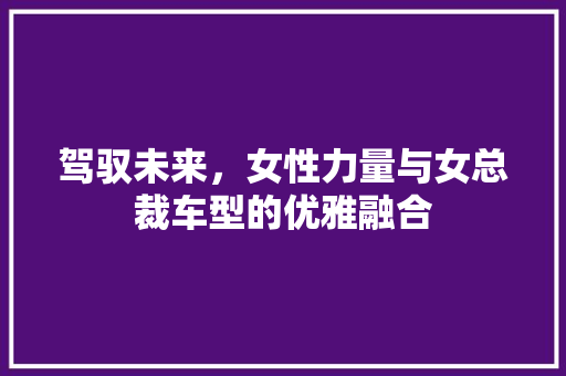 驾驭未来，女性力量与女总裁车型的优雅融合 车灯配件