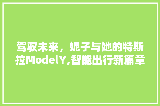 驾驭未来，妮子与她的特斯拉ModelY,智能出行新篇章