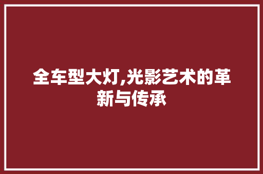 全车型大灯,光影艺术的革新与传承