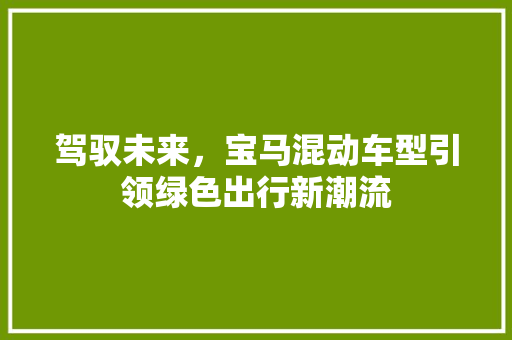 驾驭未来，宝马混动车型引领绿色出行新潮流