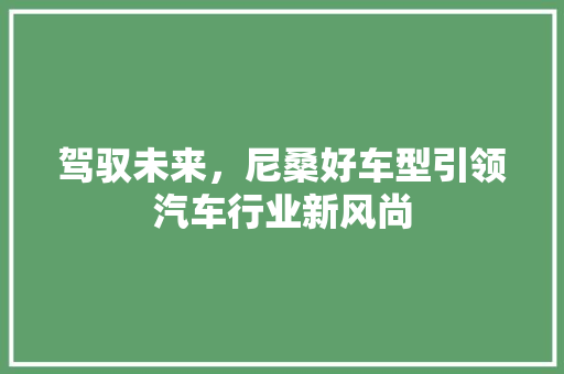 驾驭未来，尼桑好车型引领汽车行业新风尚