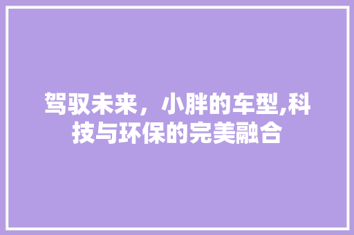 驾驭未来，小胖的车型,科技与环保的完美融合
