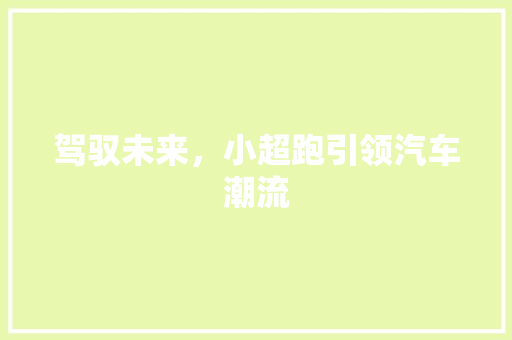 驾驭未来，小超跑引领汽车潮流