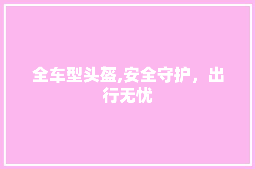 全车型头盔,安全守护，出行无忧