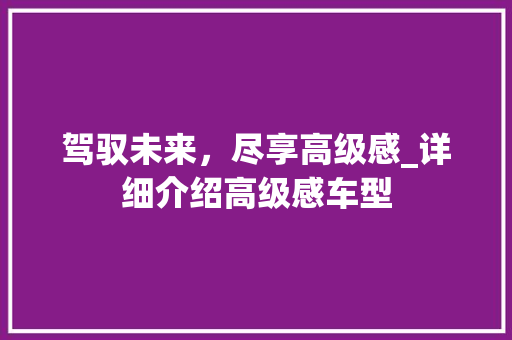 驾驭未来，尽享高级感_详细介绍高级感车型