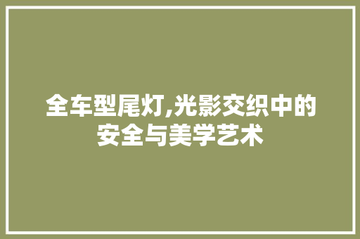 全车型尾灯,光影交织中的安全与美学艺术