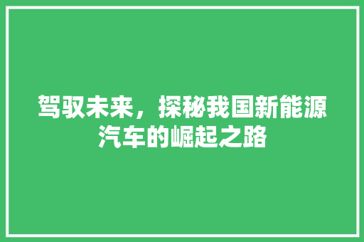 驾驭未来，探秘我国新能源汽车的崛起之路