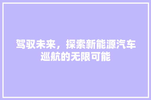 驾驭未来，探索新能源汽车巡航的无限可能