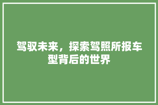 驾驭未来，探索驾照所报车型背后的世界