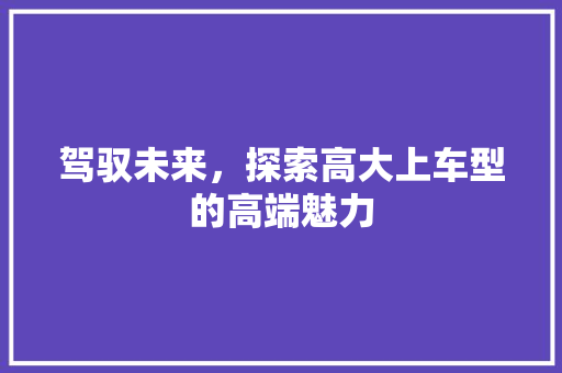 驾驭未来，探索高大上车型的高端魅力 蓄电池配件