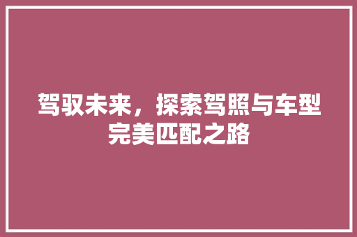 驾驭未来，探索驾照与车型完美匹配之路