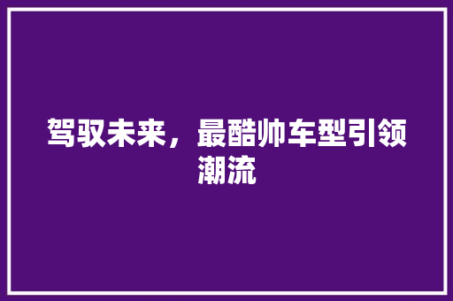 驾驭未来，最酷帅车型引领潮流