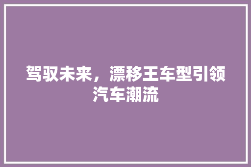 驾驭未来，漂移王车型引领汽车潮流