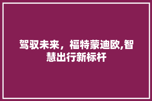驾驭未来，福特蒙迪欧,智慧出行新标杆