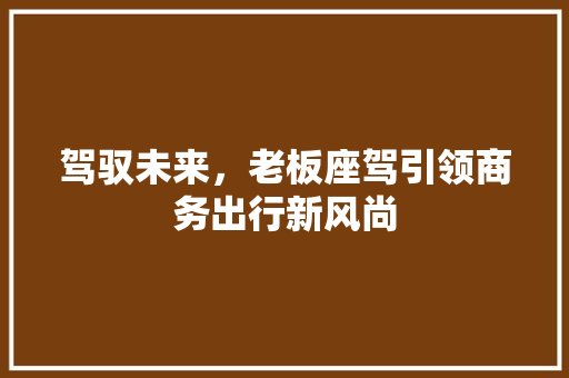 驾驭未来，老板座驾引领商务出行新风尚
