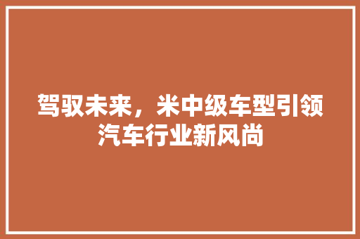 驾驭未来，米中级车型引领汽车行业新风尚