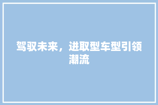驾驭未来，进取型车型引领潮流