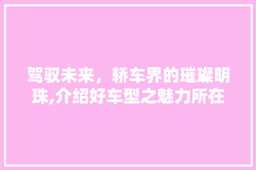 驾驭未来，轿车界的璀璨明珠,介绍好车型之魅力所在