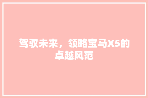 驾驭未来，领略宝马X5的卓越风范
