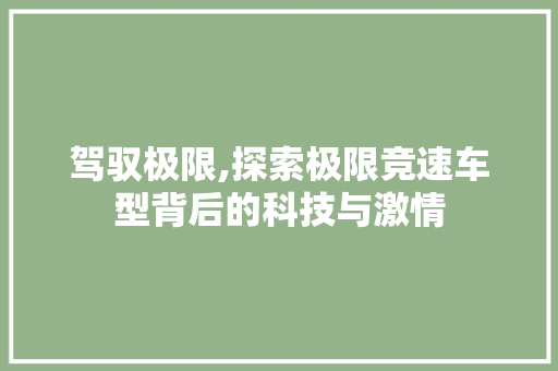 驾驭极限,探索极限竞速车型背后的科技与激情