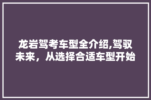龙岩驾考车型全介绍,驾驭未来，从选择合适车型开始